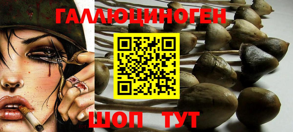 Псилоцибиновые грибы GOLDEN TEACHER Южноуральск