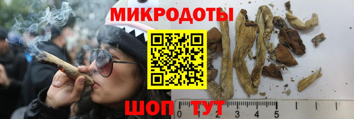 Южноуральск  Галлюциногенные грибы Psilocybine cubensis  Вход с VPN  Псилоцибиновые грибы Cubensis 